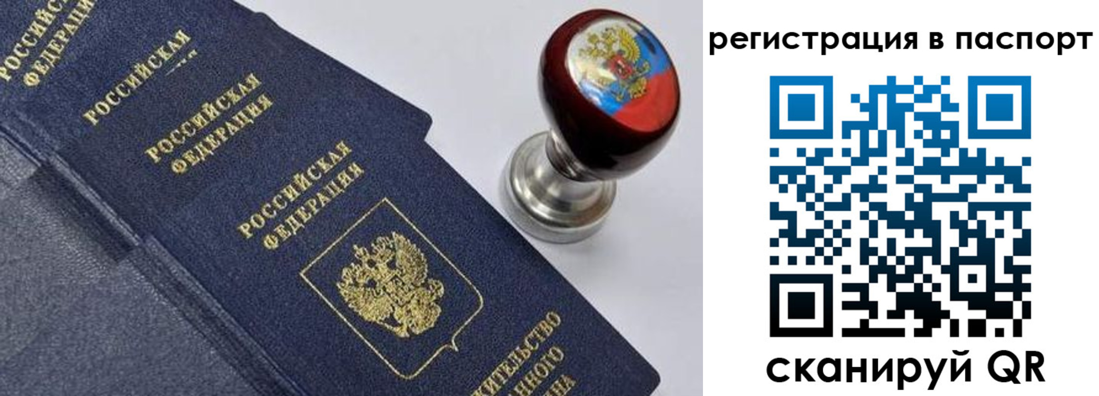 прописка поиск в Балее